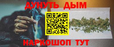 ECSTASY Камышлов