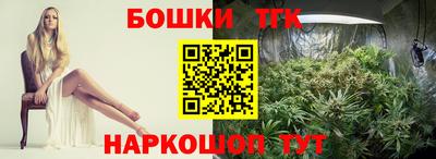 ECSTASY Камышлов