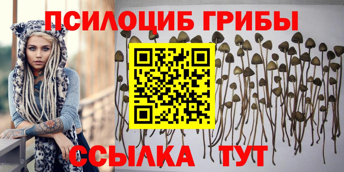 Галлюциногенные грибы мицелий Красноуфимск